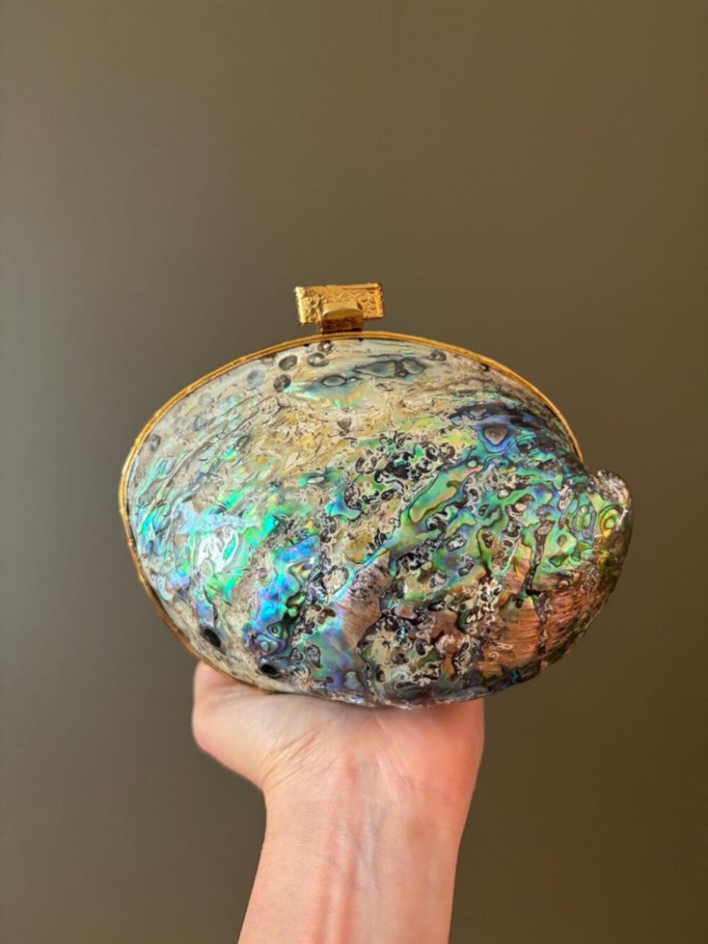 Abalone Shell Clutch Purse | Iridescent Mother of Pearl Evening Bag | Gold Chain